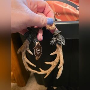 Rustic Antler Ornament with Pinecone Accents